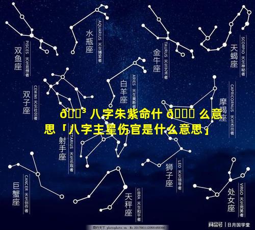 🐳 八字朱紫命什 🐋 么意思「八字主星伤官是什么意思」